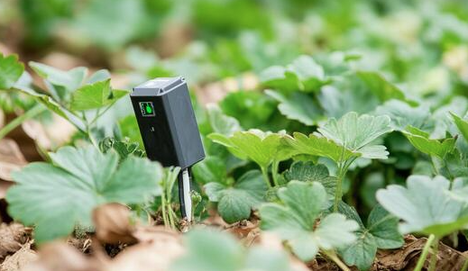 Smart soil sensor monitoring in farmland